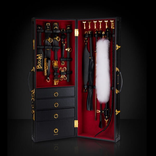 Luxury BDSM Vertical Trunk Kit