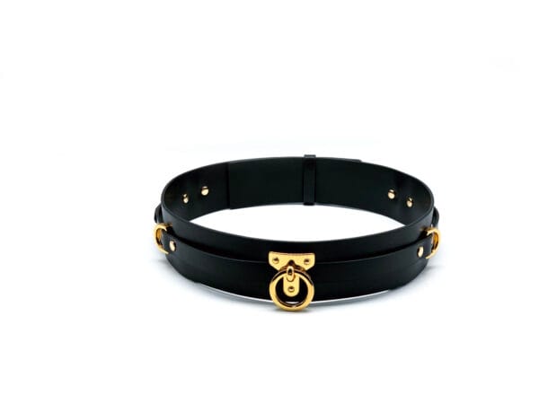Luxury Leather Bondage Belt