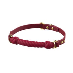 Knot-Shaped Mouth Gag Red