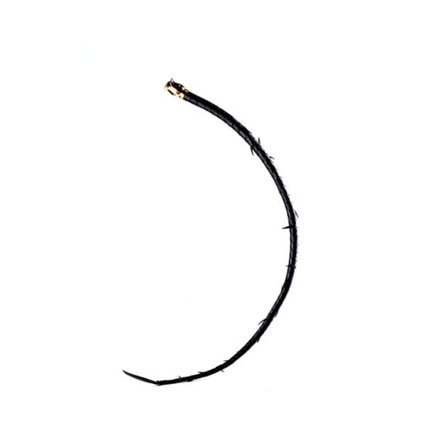 Luxury Leather Thorn Whip