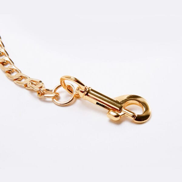 Luxury Chain Leash With Leather Handle - Afbeelding 3