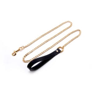 Luxury Chain Leash With Leather Handle