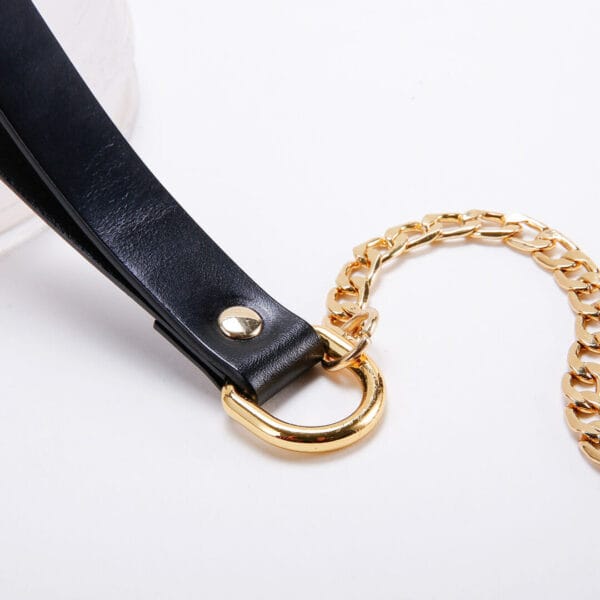 Luxury Chain Leash With Leather Handle - Afbeelding 4